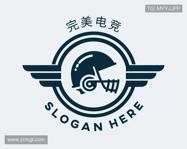 解读完美电竞